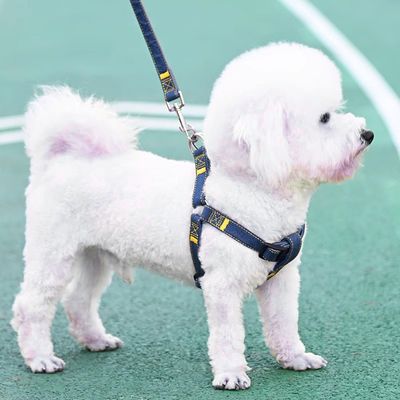 狗狗牵引绳大型中型小型犬狗链子狗项圈泰迪金毛遛狗绳子宠物用品