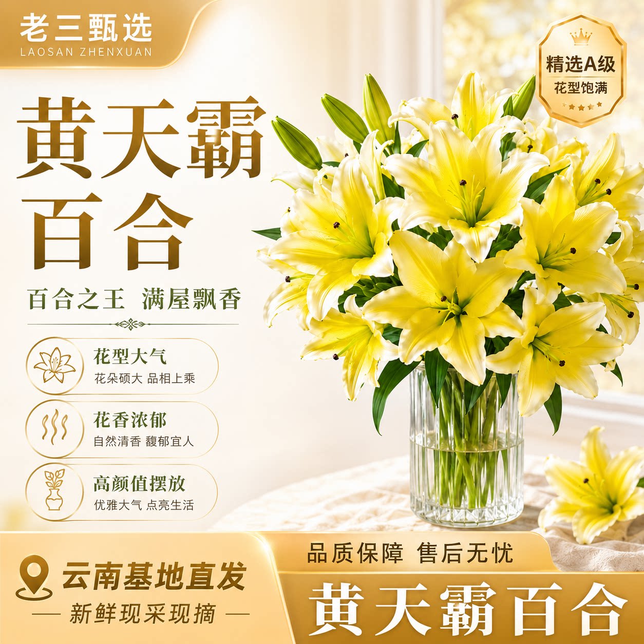 黄天霸香水百合玫瑰鲜花小雏菊云南基地直发家用插瓶水养送礼插花