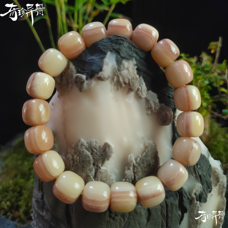 天然驼骨手串手链三花血丝保真骆驼骨老型桶珠未脱脂男女款佛珠念_虎窝淘