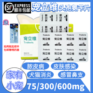 300 汉维宠仕宠立维狗猫咪鼻支感冒宠物头孢氨片消炎药75 600mg