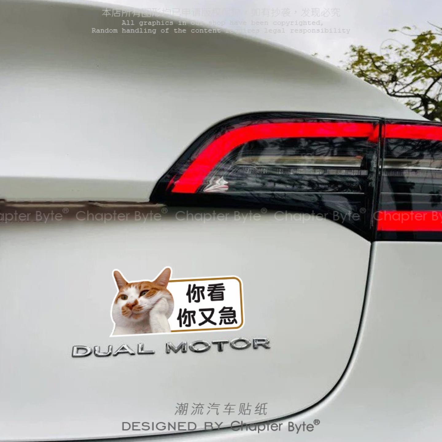 汽车贴纸看你又急猫猫个性创意搞怪车贴电动摩托车尾保持车距装饰