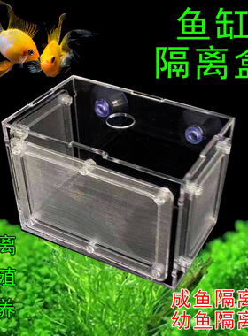 虎鱼金波子白点隔离盒鱼缸透明水族小鱼苗孵化器繁殖箱产盒饲养盒