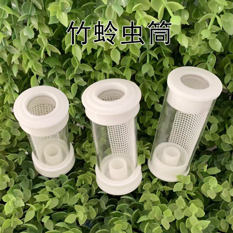 竹蛉筒塑料竹蛉筒竹蛉筒出叫攀爬筒竹蛉叫罐鸣虫用具黄蛉竹蛉叫罐
