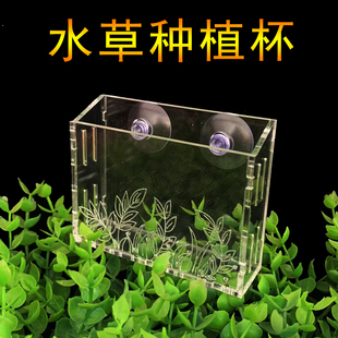 鱼挂壁吸盘种植器草缸装饰亚克力水草种植杯饲育盆造景器水草盆