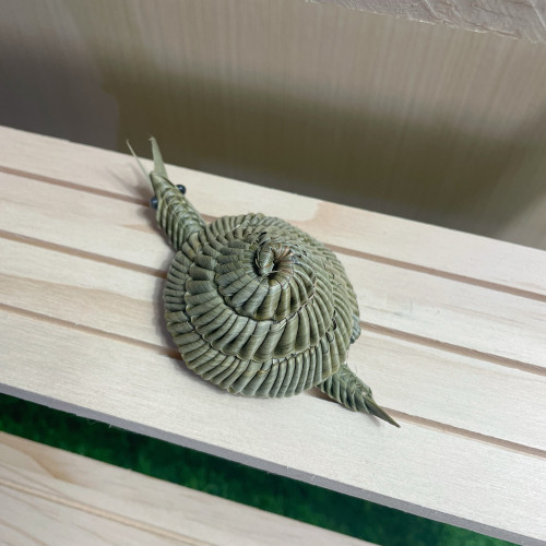 棕草编动物蜗牛非遗手工