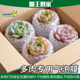 气泡膜多肉专用打包膜防震叶片花卉绿植花盆搬家快递包装泡沫纸
