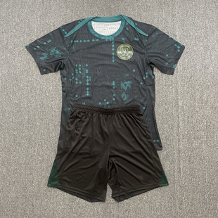浙江绿城赛前训练服短袖足球服球员教练款组队服2025新款中超球衣