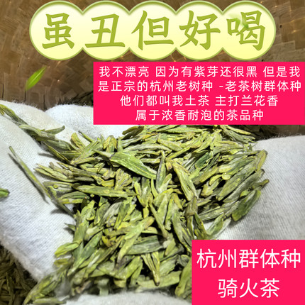 2026杭州本地高山群体种土茶绿茶春茶乾隆同款