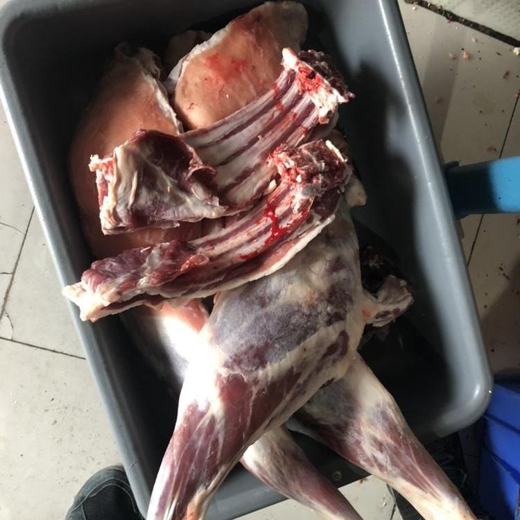 羊肉陕北横山新鲜榆林后腿带香草羊排农家散养送调料红葱航空