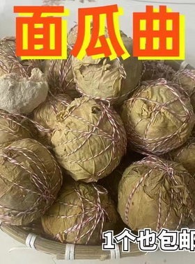 面瓜曲天然酵母粉老面发酵粉馒头面引子高活性老酵子酵头家用商用