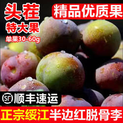云南绥江半边红脱骨李子水果 新鲜脆甜非四川茵红李5斤包邮