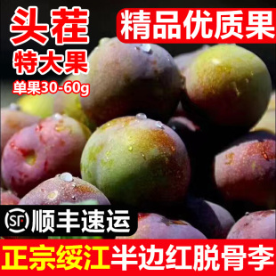 云南绥江半边红脱骨李子水果 新鲜脆甜非四川茵红李5斤包邮