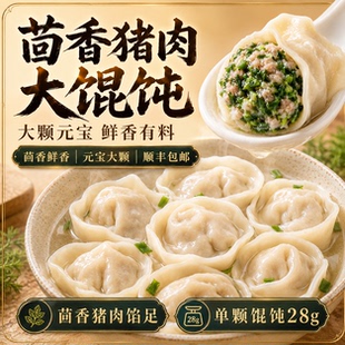 山东手工水饺馄饨茴香猪肉大馄饨早餐半成品冷冻茴香饺子云吞混沌