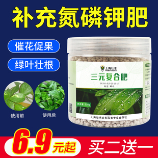 氮磷钾三元 复合肥通用型养花盆栽缓释化肥家用花卉植物有机花肥料