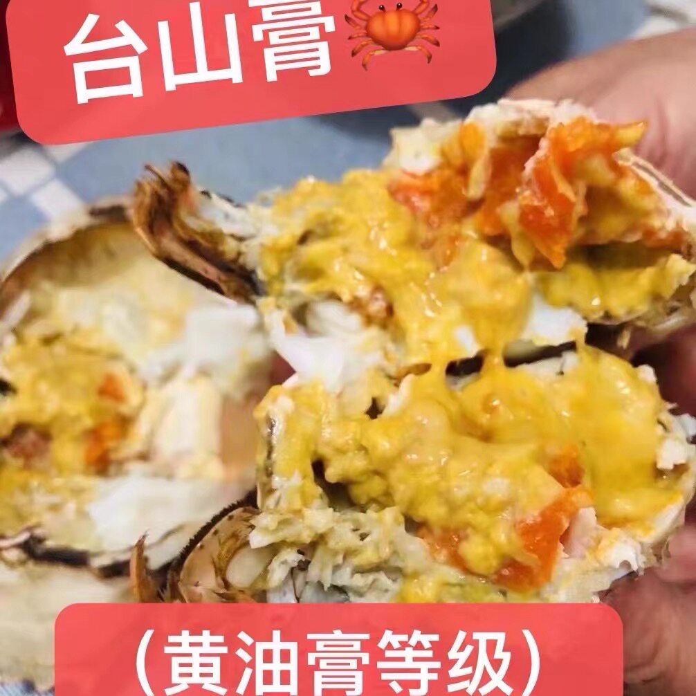 台山青蟹活蟹黄油蟹奄仔蟹正宗产青蟹