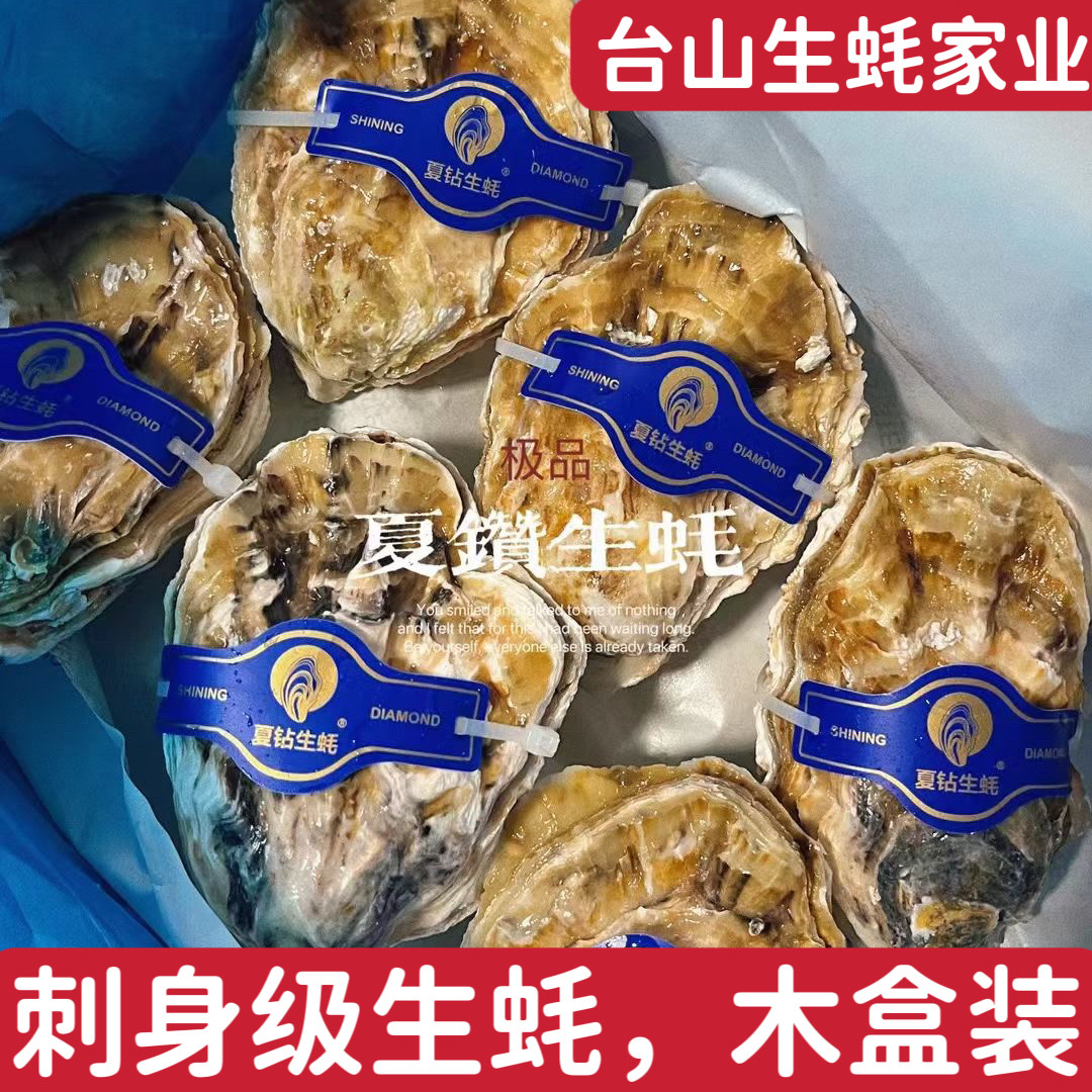 12只台山生蚝刺身级带壳鲜活乳山牡蛎生食生蚝水产海鲜生蚝木盒装
