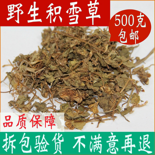 积雪草中药材 野生 正品雷公根缺碗草破铜钱中草药店铺有黄蜀葵花