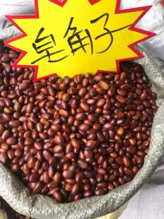 中药材皂角子500克 皂角籽 皂角核 皂角仁 皂荚籽 皂荚子 皂角豆