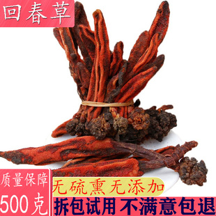 回春草500g野生男性顶天柱不老草锁阳淫羊藿韭菜籽滋补泡酒料包邮