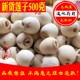 莲子 包邮 去芯莲子水磨 莲子干货500克 湘莲 磨皮 新货