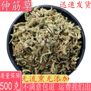 中药材三宝茶 伸筋草远志益智仁 500克石松 狮子尾 舒筋草干货