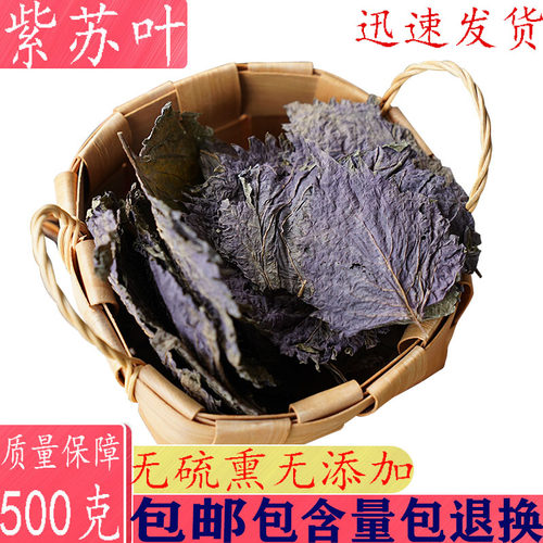 紫苏叶去腥食用中药材