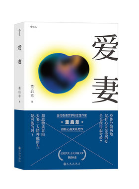 【正版包邮】爱妻 台北书展大奖获奖作品 香港标志性作家董启章著作 华语文学悬疑小说书籍 后浪畅销图书籍