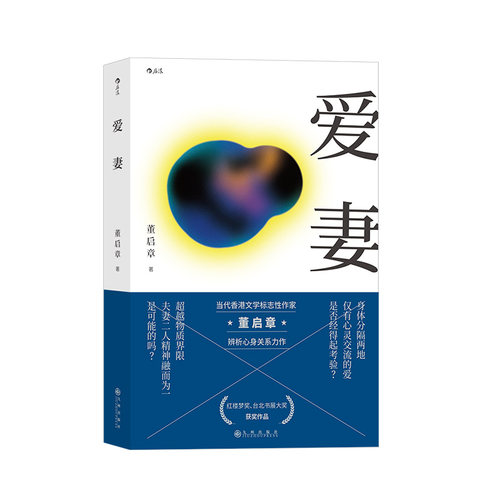 【正版包邮】爱妻 台北书展大奖获奖作品 香港标志性作家董启章著作 华语文学悬疑小说书籍 后浪畅销图书籍