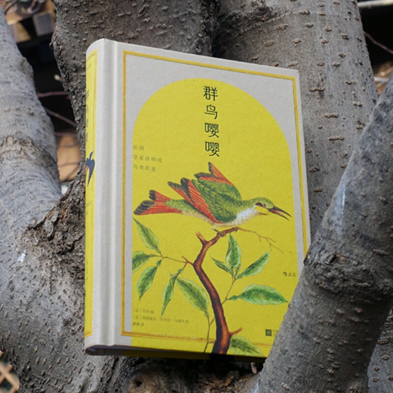 群鸟嘤嘤 法国皇家植物园鸟类图鉴 复古艺术馆系列 博物学之父布封 600余种鸟类科普书籍 后浪正