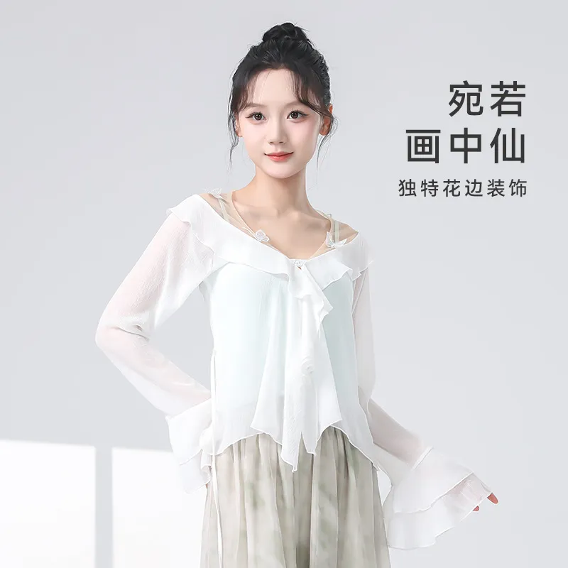现代舞蹈服女夏季新款蝴蝶网纱衣长袖身韵古典舞练功服演出服上衣