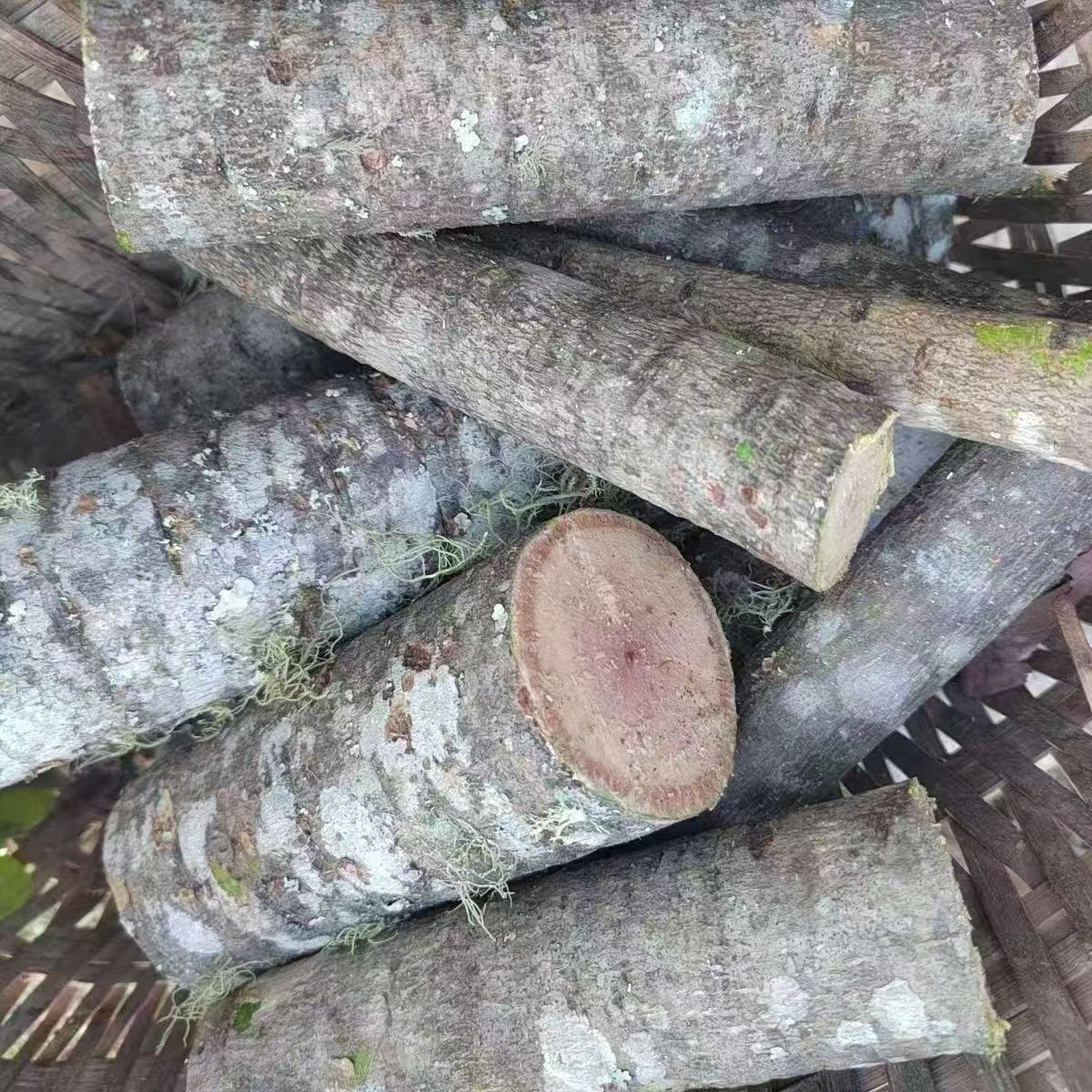 云南橄榄树油甘果皮鲜鲜现采现发无添加