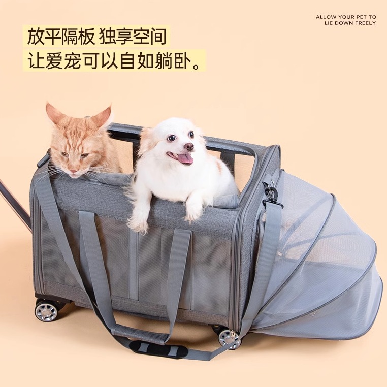 DODOPET宠物拉杆箱大容量外出箱