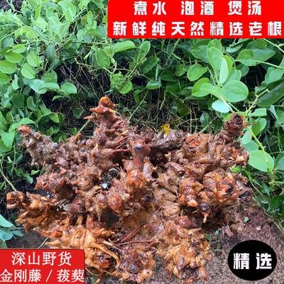 新鲜广东菝葜根野生金刚藤根