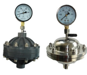 计量泵附件316不锈钢高压脉冲阻尼器DAM160020S 缓冲器脉动阻尼器