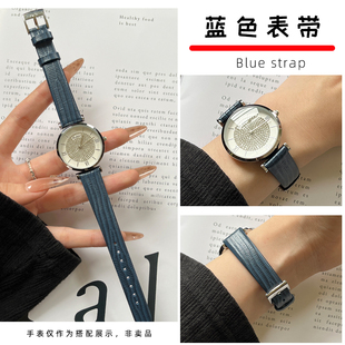 适配阿玛尼AR1989/80011/11091/60020蜥蜴纹蓝色手表带AR1875表链