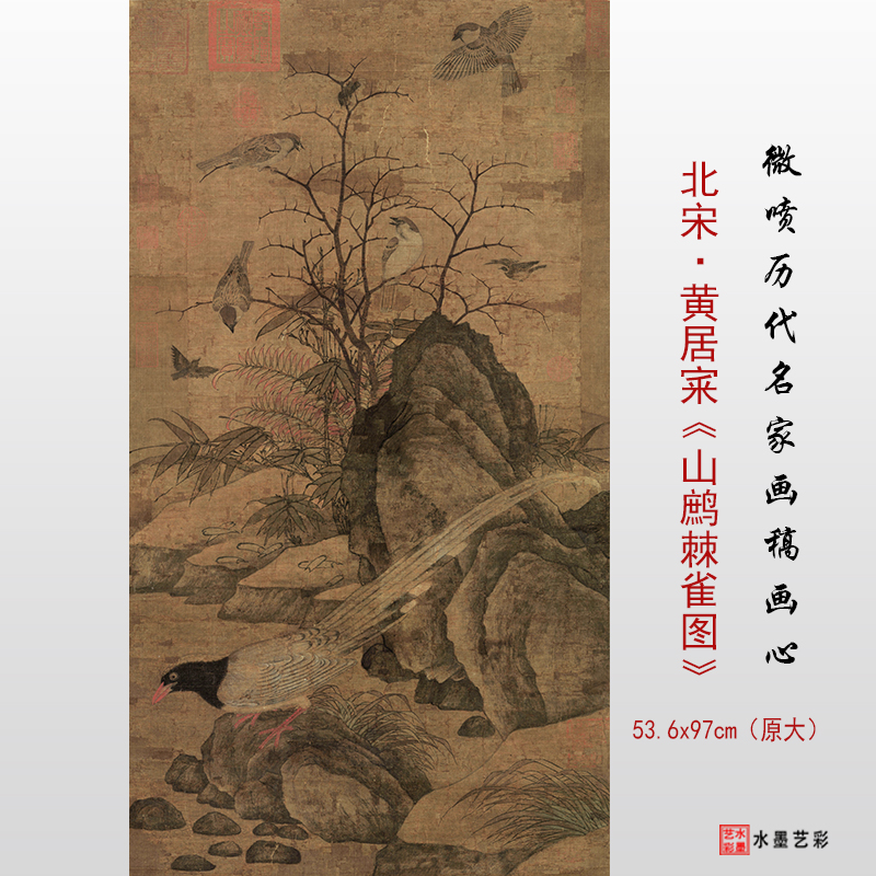 临摹画稿黄居宷山雀图底稿