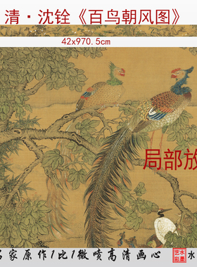 临摹花鸟画画稿沈铨百鸟朝凤图