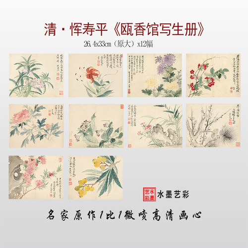 高清恽寿平瓯香馆写生册临摹画稿