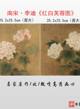 李迪红白芙蓉图临摹画稿