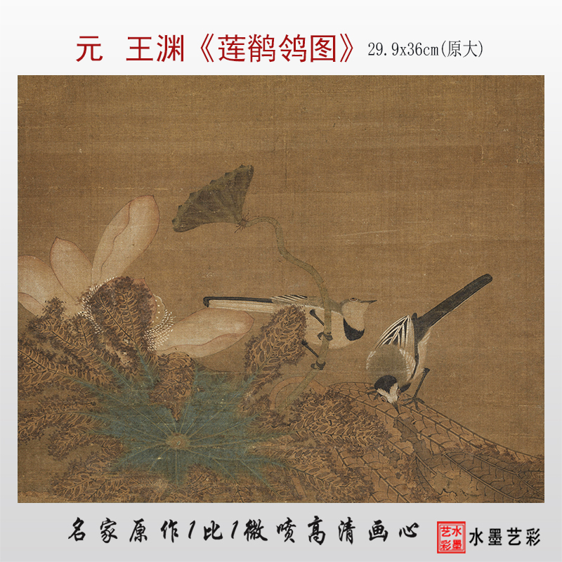 王渊花鸟册页临摹画稿莲鹡鸰图