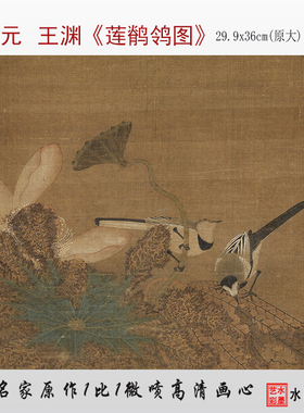 王渊花鸟册页临摹画稿莲鹡鸰图
