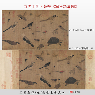 五代十国黄荃写生珍禽图高清微喷工笔花鸟画临摹画稿学习手稿底稿