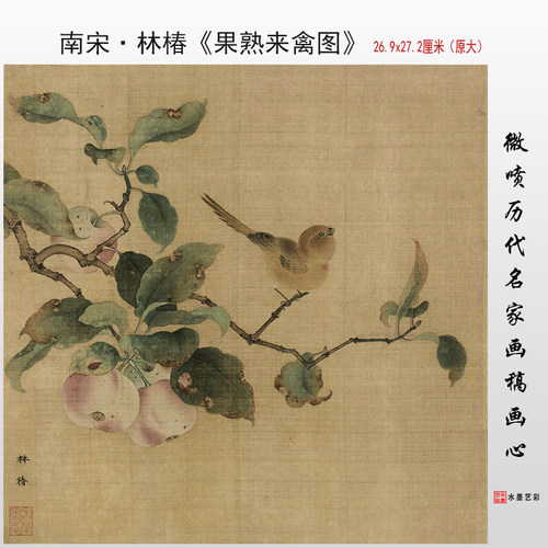 宋代斗方花鸟画临摹画稿林椿