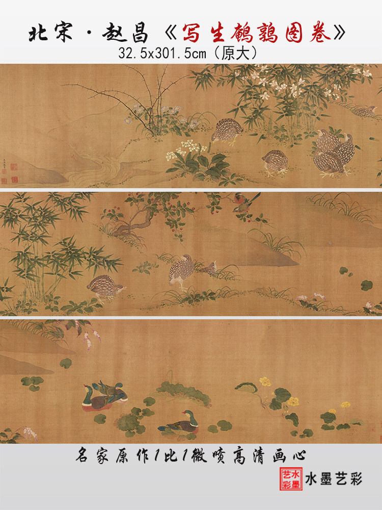 北宋赵昌写生鹌鹑图卷高清微喷打印复制宋代植物动物花鸟临摹画稿