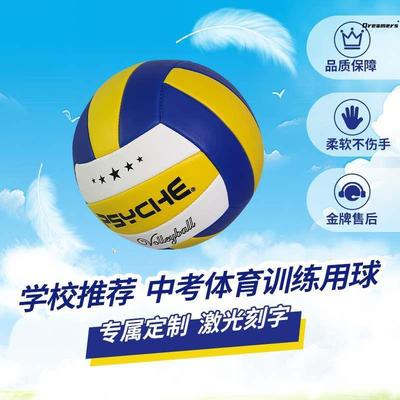 排球中考学生专用初中生女生体育