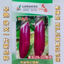 龙盛红金龙茄子种子皮薄籽少质细口感好高产抗病早熟紫红茄子种籽