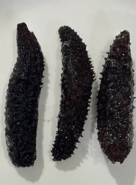 深海小黑刺刺秃参水发冷冻海参