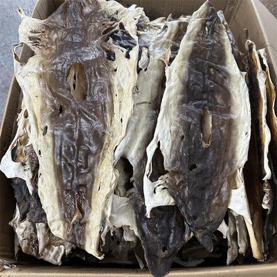 整张沙鱼皮鱼干皮孕妇月子汤料