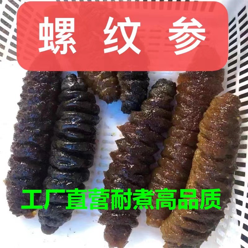 工厂直营水发螺纹参干货泡发好冷冻大条海参厚肉即煮龙纹参大乌参