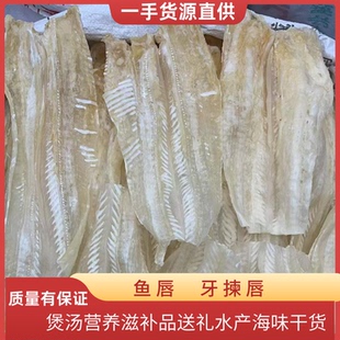 优质鱼唇广东汕尾特产足干干货煲汤炖煮佛跳墙新鲜食材港式粤菜馆